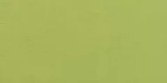 Pistachio (BC-SPS-36) uniform fabric shade, Spun Shirting
