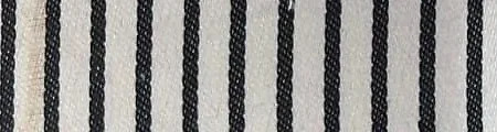 Zebra Stripe