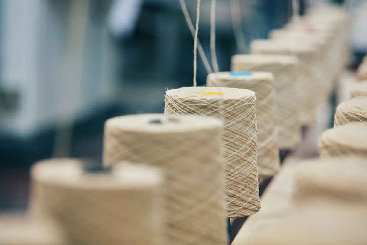 Rows of yarn cones lined up on a spinning frame